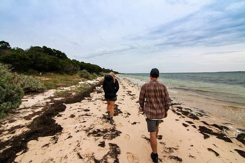 Phillip Island And French Island Wildlife Expedition - Accommodation Bookings 1