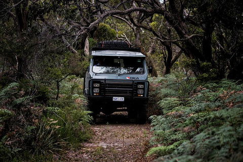 Phillip Island And French Island Wildlife Expedition - Accommodation Bookings 4