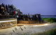 Phillip Island And French Island Wildlife Expedition - thumb 5