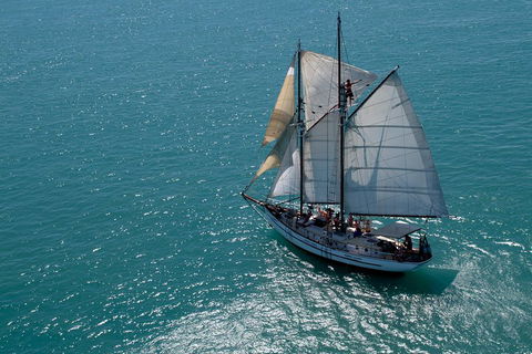Whitehaven Beach Sailing And Snorkeling Cruise - Accommodation Bookings 1