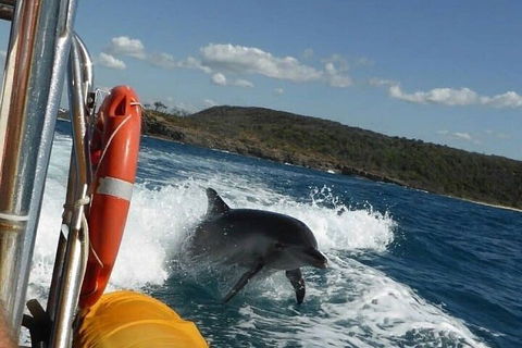 Noosa Oceanrider - Adventure Tour - Accommodation Bookings 1