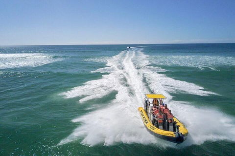 Noosa Oceanrider - Adventure Tour - Accommodation Bookings 2