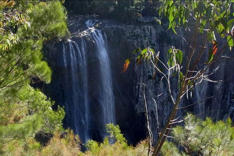 Byron Bay Hinterland Tour Including Rainforest Walk To Minyon Falls - Accommodation Bookings 0
