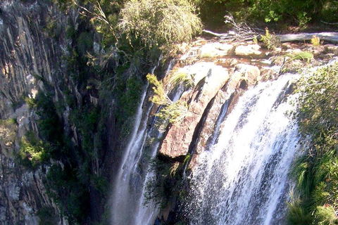Byron Bay Combo: Hinterland Tour Including Minyon Falls And Kayaking With Dolphins - Accommodation Bookings 3