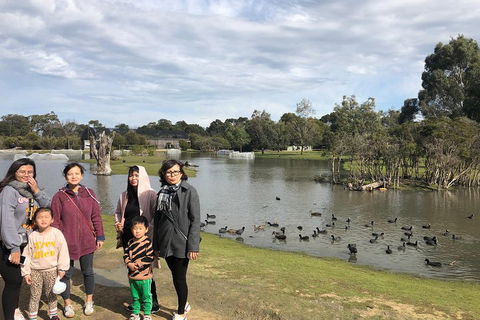 Phillip Island Penguins Private Tour - Accommodation Bookings 1