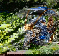 Adelaide 90-Minute Pedicab Tour Scenic Green  River Experience - Accommodation Bookings