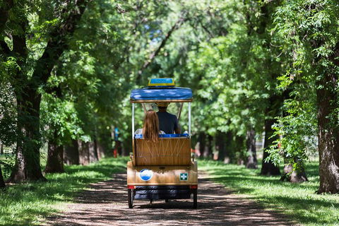 Adelaide 90-Minute Pedicab Tour: Scenic Green & River Experience - Accommodation Bookings 2