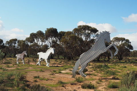 Wave Rock, Wild Flowers And Astro Photography - Accommodation Bookings 5