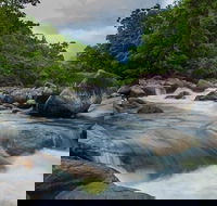 Cape Tribulation Day Tour - Accommodation Bookings