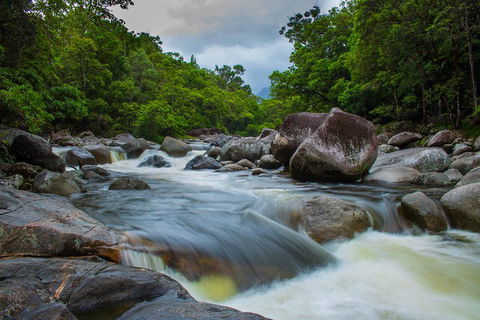 Cape Tribulation Day Tour - Accommodation Bookings 0