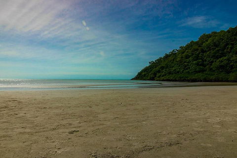 Cape Tribulation Day Tour - Accommodation Bookings 2