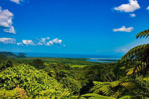 Cape Tribulation Day Tour - Accommodation Bookings 3