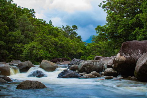 Cape Tribulation Day Tour - Accommodation Bookings 4