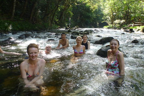 Daintree Rainforest, Cape Tribulation, Mossman Gorge Small-Group Day Tour - Accommodation Bookings 0