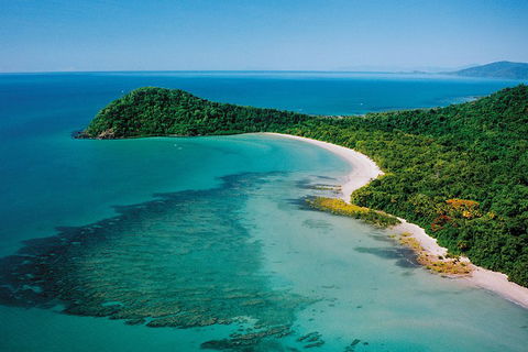 Daintree Rainforest, Cape Tribulation, Mossman Gorge Small-Group Day Tour - Accommodation Bookings 4