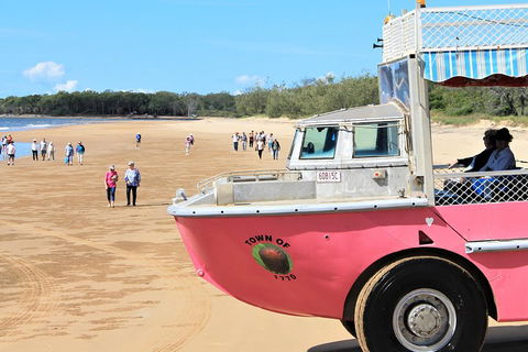1770 Coastline Tour By LARC Amphibious Vehicle Including Picnic Lunch - Accommodation Bookings 0