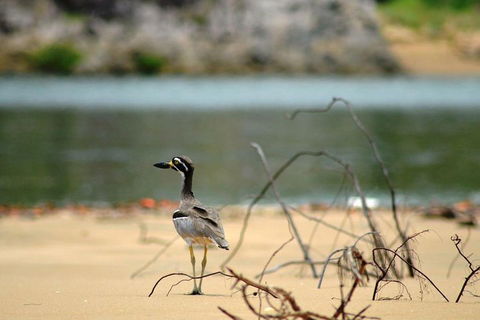 1770 Coastline Tour By LARC Amphibious Vehicle Including Picnic Lunch - Accommodation Bookings 3