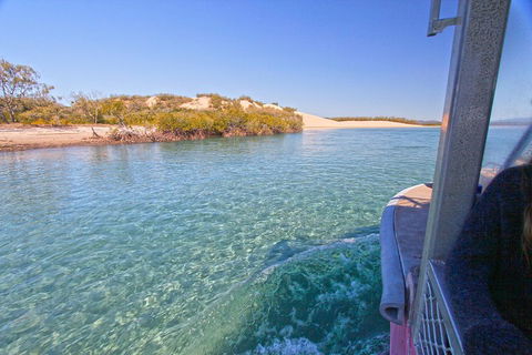 1770 Coastline Tour By LARC Amphibious Vehicle Including Picnic Lunch - Accommodation Bookings 5