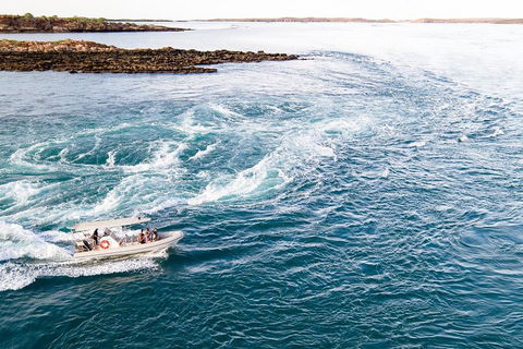 Giant Tides Tour - Cygnet Bay Pearl Farm - Accommodation Bookings 4