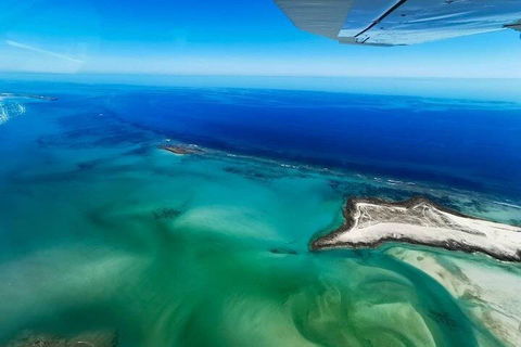 Wet Season Incredible Islands Tour - Horizontal Falls & Cygnet Bay Pearl Farm - Accommodation Bookings 4