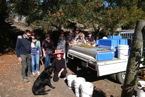 Valleys Of Vino Tour - Accommodation Bookings 1