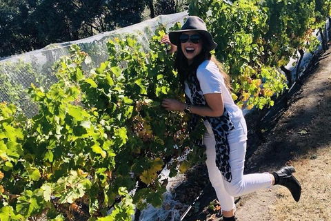 Valleys Of Vino Tour - Accommodation Bookings 3