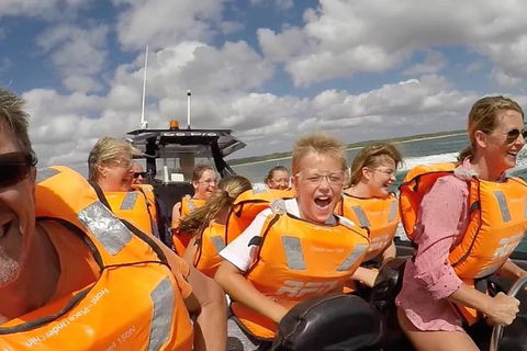 Noosa Thriller - 500hp Ocean Adventure Ride - Accommodation Bookings 1
