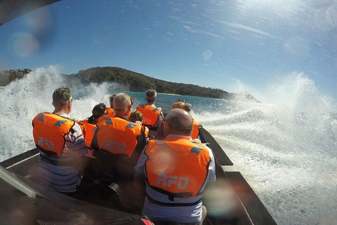 Noosa Thriller - 500hp Ocean Adventure Ride - Accommodation Bookings 3