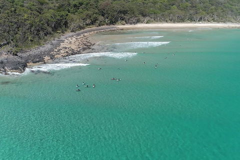 Noosa Thriller - 500hp Ocean Adventure Ride - Accommodation Bookings 5