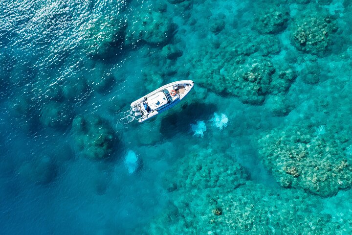 Hamilton Island QLD Accommodation Bookings
