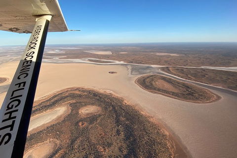 Scenic Flight: Lizard Safari - Accommodation Bookings 3