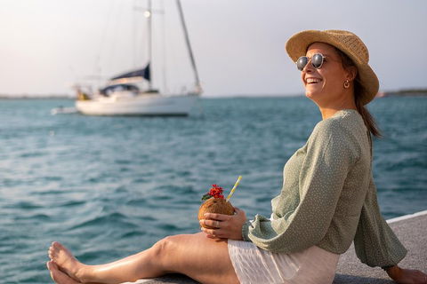 All Inclusive Dolphin And Tangalooma Wrecks Cruise - Accommodation Bookings 5
