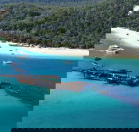 All Inclusive Tangalooma Wrecks Cruise Tour From Gold Coast - Accommodation Bookings