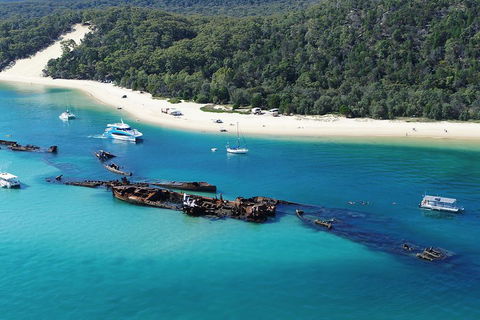 All Inclusive Tangalooma Wrecks Cruise Tour From Gold Coast - Accommodation Bookings 0