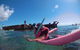 All Inclusive Tangalooma Wrecks Cruise Tour From Gold Coast - thumb 3