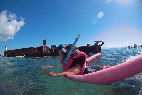 All Inclusive Tangalooma Wrecks Cruise Tour From Gold Coast - Accommodation Bookings 3