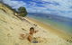 All Inclusive Tangalooma Wrecks Cruise Tour From Gold Coast - thumb 5