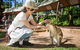 Kuranda Day Tour, TKS-RFS GRAND GOLD PLUS 0930 - thumb 3