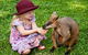 Kuranda Day Tour + HotAir Balloon Combo - thumb 0