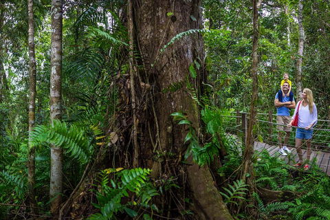 Kuranda Day Tour + HotAir Balloon Combo - Accommodation Bookings 3