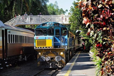 Kuranda Day Tour + HotAir Balloon Combo - Accommodation Bookings 4