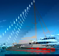 Passions of Paradise Great Barrier Reef Snorkel and Dive Cruise from Cairns by Luxury Catamaran - Accommodation Bookings