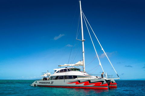 Passions Of Paradise Great Barrier Reef Snorkel And Dive Cruise From Cairns By Luxury Catamaran - Accommodation Bookings 0