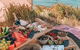 A Picnic In Byron Bay - thumb 5