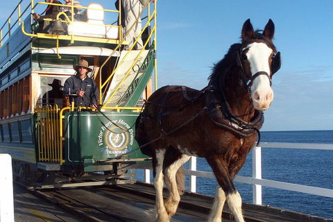 Full-Day Tour In South Australia Highlights - Accommodation Bookings 1