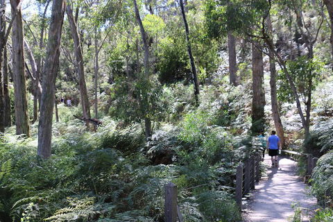 Self-Guided Waterfall Gully To Mount Lofty Hike From Adelaide - Accommodation Bookings 2