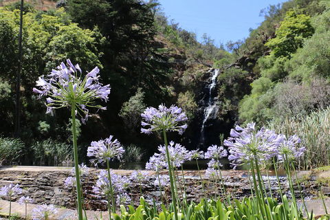 Self-Guided Waterfall Gully To Mount Lofty Hike From Adelaide - Accommodation Bookings 3