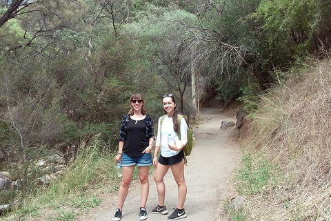 Self-Guided Waterfall Gully To Mount Lofty Hike From Adelaide - Accommodation Bookings 4