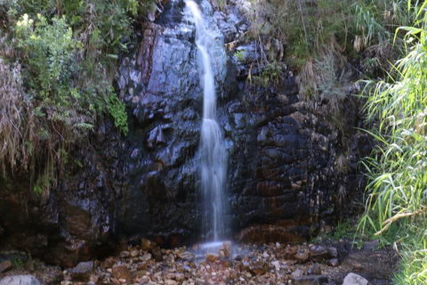 Self-Guided Waterfall Gully To Mount Lofty Hike From Adelaide - Accommodation Bookings 5