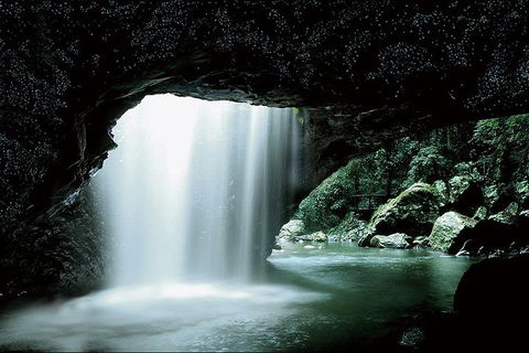 Natural Bridge Glow Worm Night Tour From Gold Coast - Accommodation Bookings 0